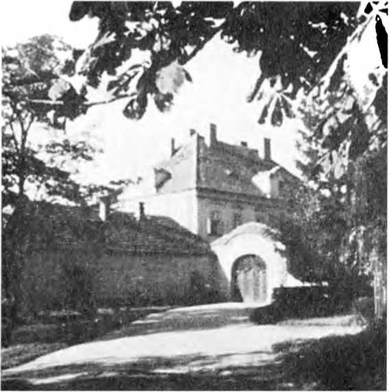 Иллюстрация к книге — Райнхард Гейдрих - паладин Гитлера [i_025.jpg]