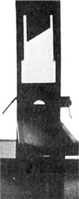 Иллюстрация к книге — Райнхард Гейдрих - паладин Гитлера [i_046.jpg]