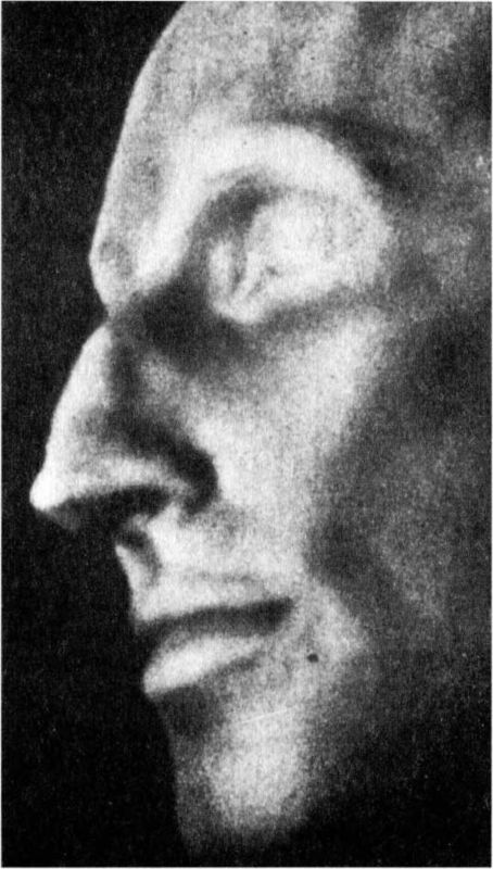 Иллюстрация к книге — Райнхард Гейдрих - паладин Гитлера [i_065.jpg]