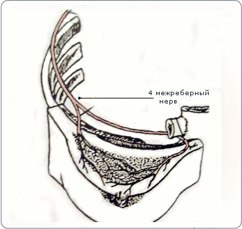 Иллюстрация к книге — Судьба педераста или непридуманные истории из жизни… [i_014.jpg]