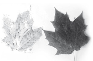 Иллюстрация к книге — Большая книга развивающих игр. От рождения до 3 лет [i_064.jpg]