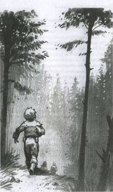 Иллюстрация к книге — Принц из страны облаков [pic_125.jpg]