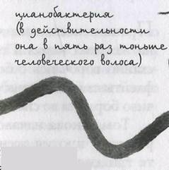 Иллюстрация к книге — Принц из страны облаков [pic_88.jpg]