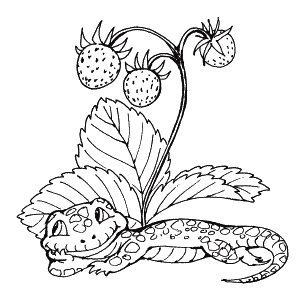 Иллюстрация к книге — Пальчиковые игры для детей от года до трех лет [i_015.jpg]