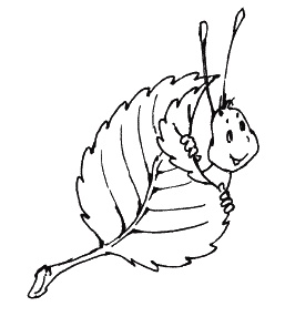 Иллюстрация к книге — Пальчиковые игры для детей от года до трех лет [i_021.jpg]