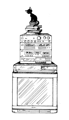Иллюстрация к книге — Настольная книга для девочек [i_024.jpg]