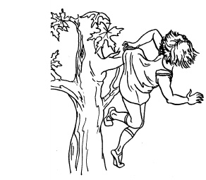 Иллюстрация к книге — Настольная книга для девочек [i_038.jpg]