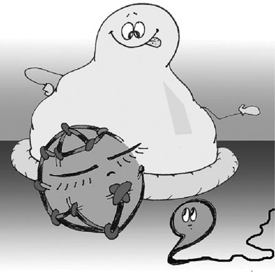 Иллюстрация к книге — Как говорить с детьми о сексе. Книга для родителей о том, что волнует подростка [i_041.jpg]