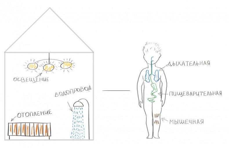 Иллюстрация к книге — Как я устроен [i_003.jpg]