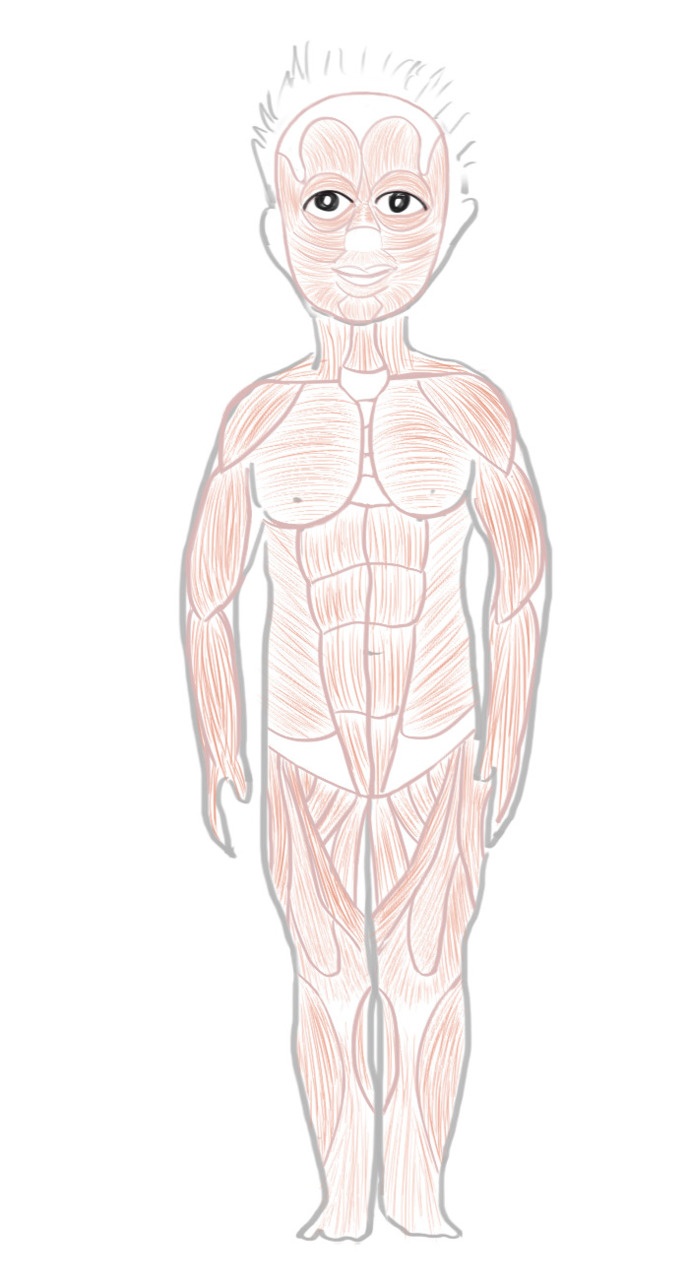 Иллюстрация к книге — Как я устроен [i_022.jpg]