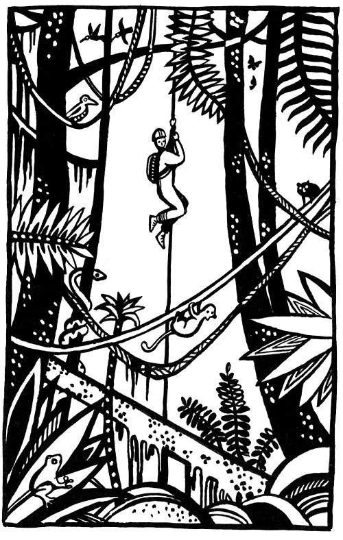 Иллюстрация к книге — Где живет единорог, или Зоологические истории [i_019.jpg]