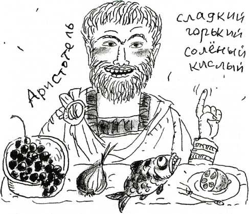 Иллюстрация к книге — Тайны запаха и вкуса [i_004.jpg]