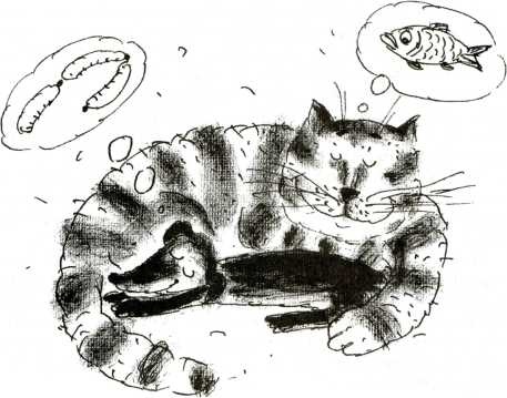 Иллюстрация к книге — Тайны запаха и вкуса [i_011.jpg]