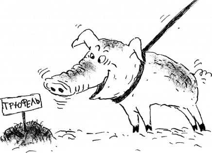 Иллюстрация к книге — Тайны запаха и вкуса [i_016.jpg]