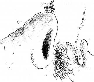 Иллюстрация к книге — Тайны запаха и вкуса [i_020.jpg]