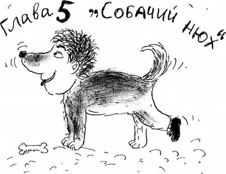 Иллюстрация к книге — Тайны запаха и вкуса [i_023.jpg]