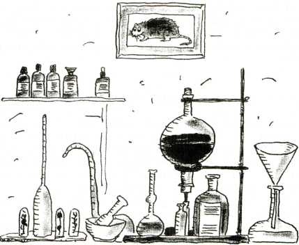 Иллюстрация к книге — Тайны запаха и вкуса [i_044.jpg]