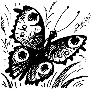 Иллюстрация к книге — Про маму и вишневые косточки [i_043.jpg]