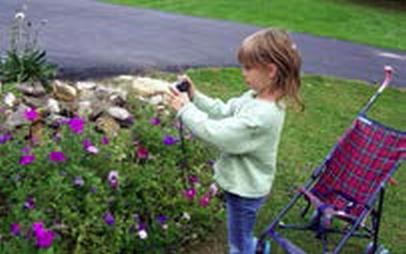 Иллюстрация к книге — Мост через пропасть. Создание тематических фотокнижек: творческий союз особого ребёнка и его окружения [_132_1.jpg]