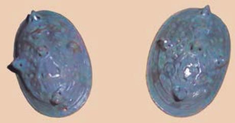 Иллюстрация к книге — Из огорода – в Эрмитаж, или История одного клада (сборник) [_95.jpg]