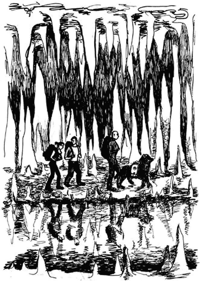 Иллюстрация к книге — Каржиж [_363.jpg]