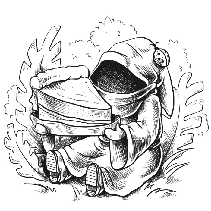 Иллюстрация к книге — Космические бродяги. Вторжение пеплоидов [_005_2.jpg]