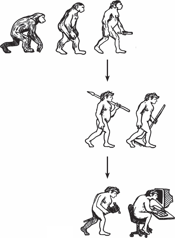 Иллюстрация к книге — Благодарный позвоночник. Как навсегда избавить его от боли. Домашняя кинезиология [_02.jpg]