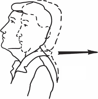 Иллюстрация к книге — Благодарный позвоночник. Как навсегда избавить его от боли. Домашняя кинезиология [_17.jpg]