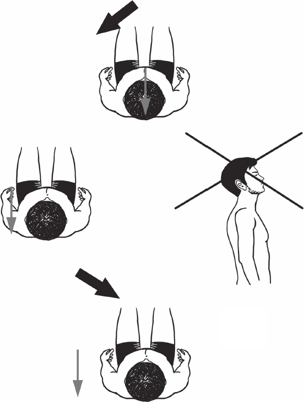 Иллюстрация к книге — Благодарный позвоночник. Как навсегда избавить его от боли. Домашняя кинезиология [_19.jpg]