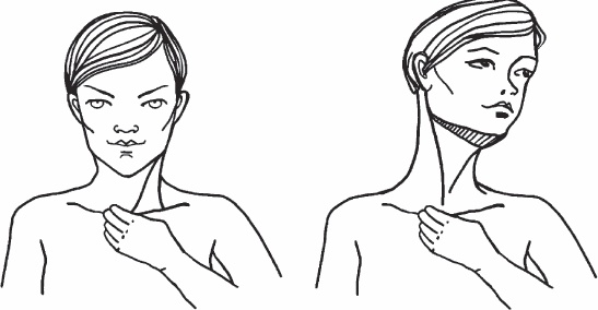 Иллюстрация к книге — Благодарный позвоночник. Как навсегда избавить его от боли. Домашняя кинезиология [_38.jpg]