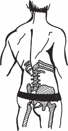 Иллюстрация к книге — Благодарный позвоночник. Как навсегда избавить его от боли. Домашняя кинезиология [_52.jpg]