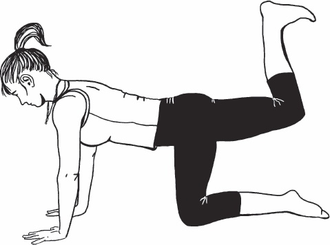 Иллюстрация к книге — Благодарный позвоночник. Как навсегда избавить его от боли. Домашняя кинезиология [_54.jpg]