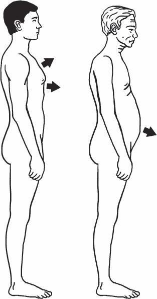 Иллюстрация к книге — Благодарный позвоночник. Как навсегда избавить его от боли. Домашняя кинезиология [_80.jpg]