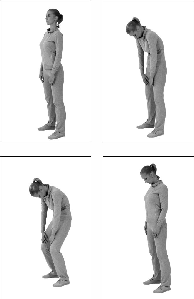 Иллюстрация к книге — Остеохондроз и боль в спине. Йога бытовых движений [_40.jpg]