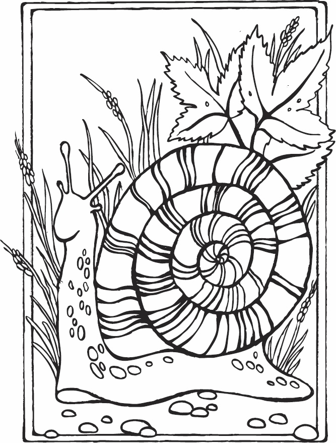 Иллюстрация к книге — Эльфика. Копилка позитива. Вдохновляюсь, творю, живу! 100 советов и упражнений в подарок [_68.jpg]