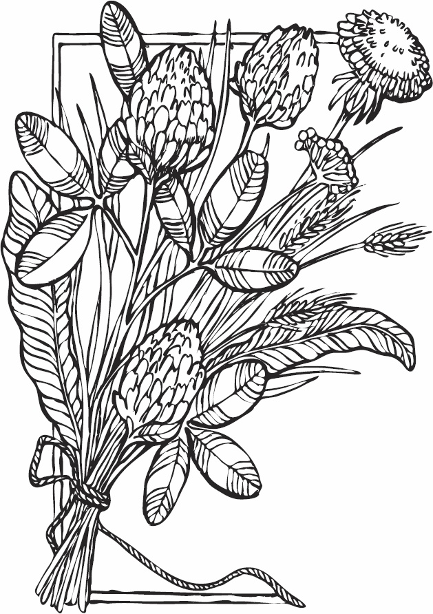 Иллюстрация к книге — Эльфика. Копилка позитива. Вдохновляюсь, творю, живу! 100 советов и упражнений в подарок [_93.jpg]