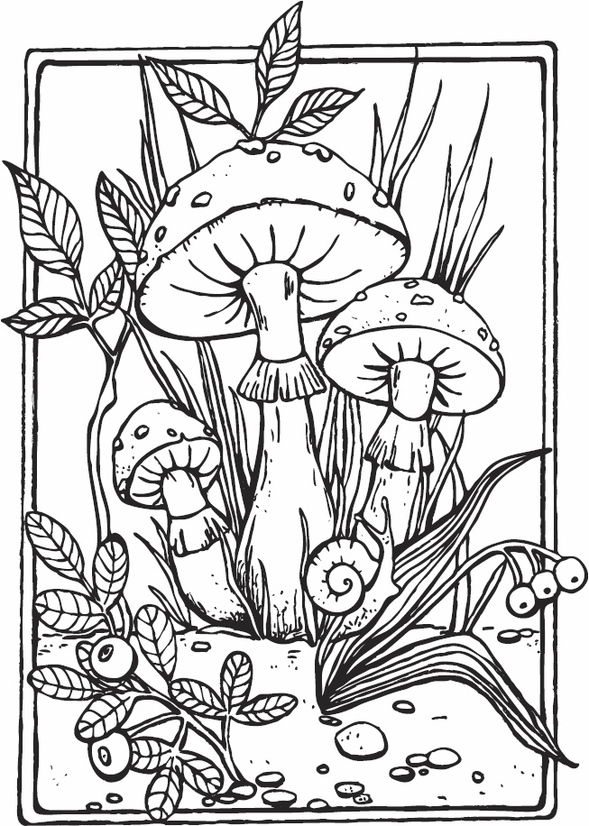 Иллюстрация к книге — Эльфика. Копилка позитива. Вдохновляюсь, творю, живу! 100 советов и упражнений в подарок [_99.jpg]