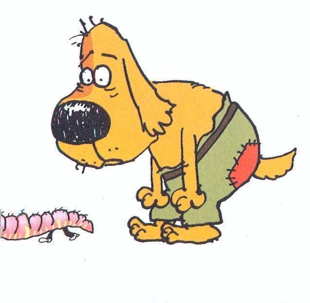 Иллюстрация к книге — Самсон и Роберто. Неожиданное наследство [w117xv.jpg]