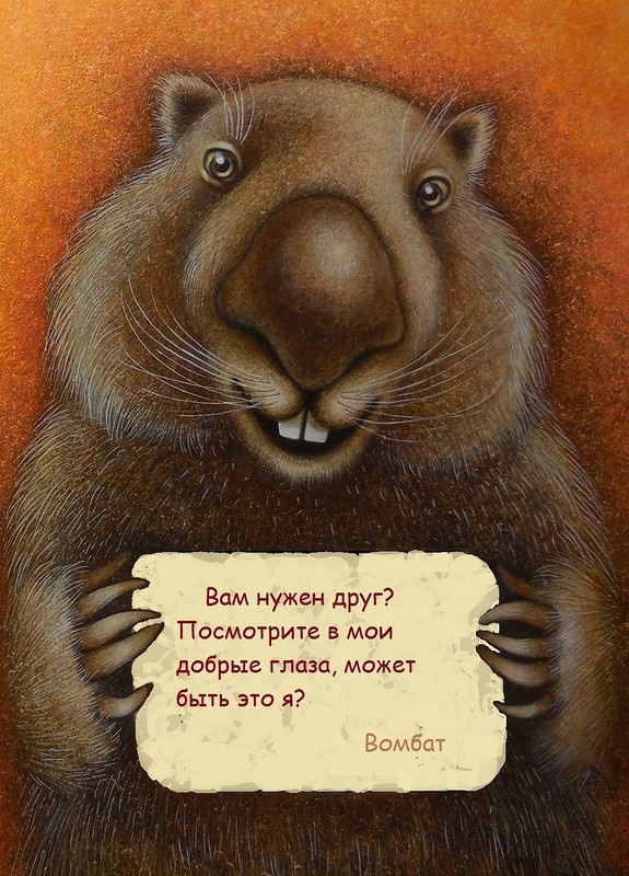 Иллюстрация к книге — Я вомбат [_0_b6e93_ff179451_xl.jpg]