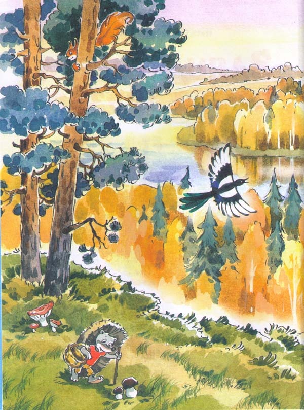 Иллюстрация к книге — Заяц Коська и его друзья [i_002.jpg]