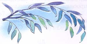 Иллюстрация к книге — Заяц Коська и его друзья [i_007.jpg]