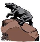 Иллюстрация к книге — Сказки, которые живут в Ярославле [i_011.jpg]