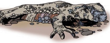 Иллюстрация к книге — Сказки, которые живут в Ярославле [i_035.jpg]