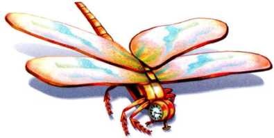 Иллюстрация к книге — Часы и время [i_106.jpg]