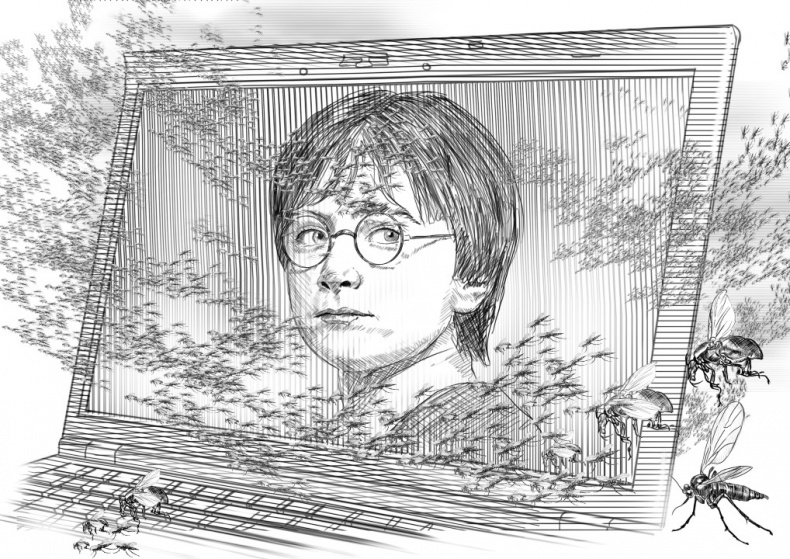 Иллюстрация к книге — Свет мой, зеркальце [title3.jpg]