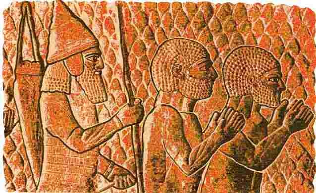 Иллюстрация к книге — Древняя Месопотамия. Школьный путеводитель [i_047.jpg]