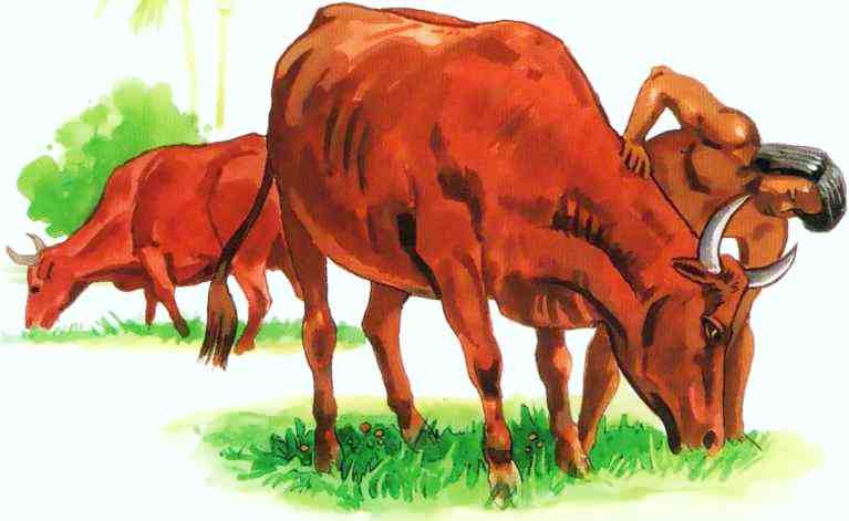 Иллюстрация к книге — Древний Египет [i_008.jpg]