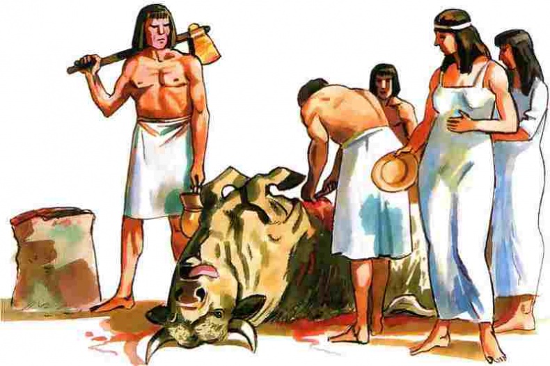 Иллюстрация к книге — Древний Египет [i_009.jpg]