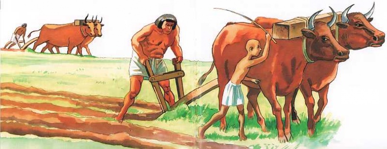 Иллюстрация к книге — Древний Египет [i_021.jpg]