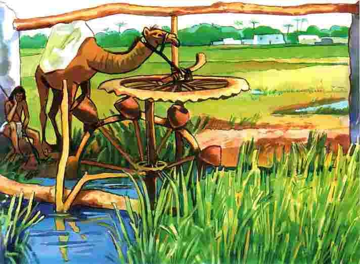 Иллюстрация к книге — Древний Египет [i_023.jpg]